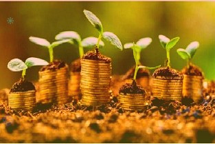 国海证券荣获2023年度创新突破券商资管等三项金鼎奖